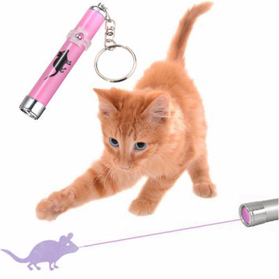 Creative and Funny Cat Toy, A Must Have For All Cat Lovers - FREE!