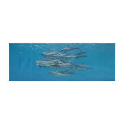 Dolphin Yoga Mats