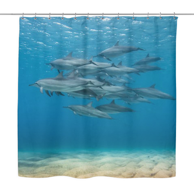 Dolphin Shower Curtains