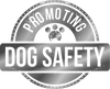 DOG SAFETY SEAT BELT +
