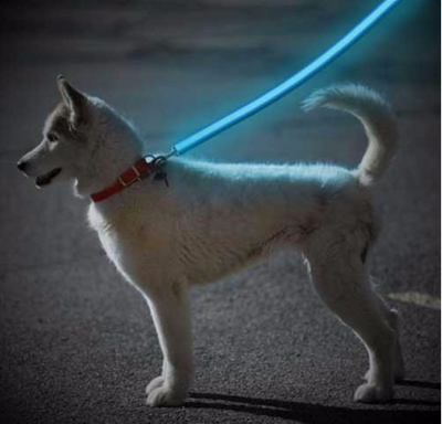 GloLove Safety Dog Leash