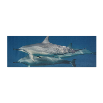 Dolphin Yoga Mats